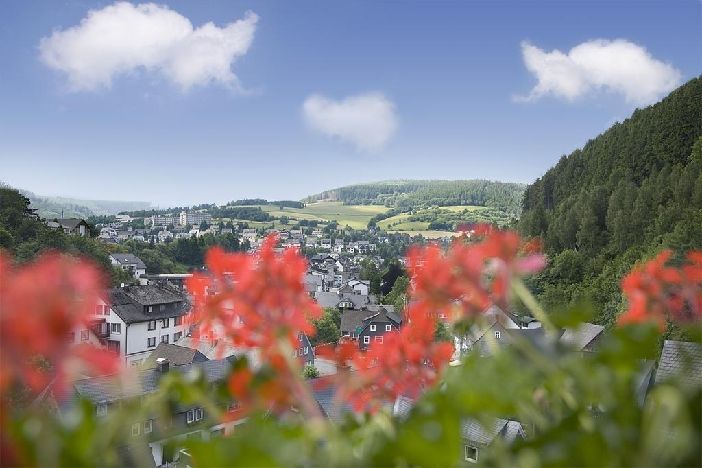 Appartement Café Alt Willingen