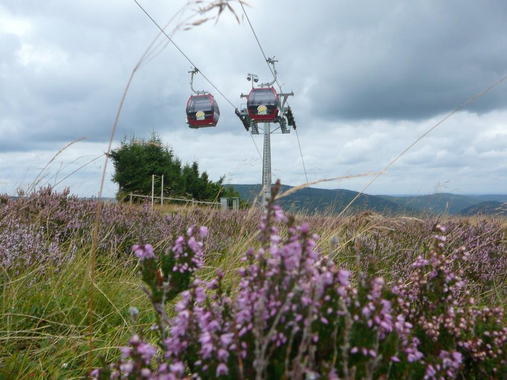 Café Alt Willingen Willingen (Upland)